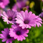 calming floral mildly sweet
