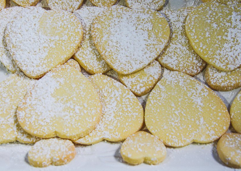 chocolate chip cookies with no brown sugar zb878
