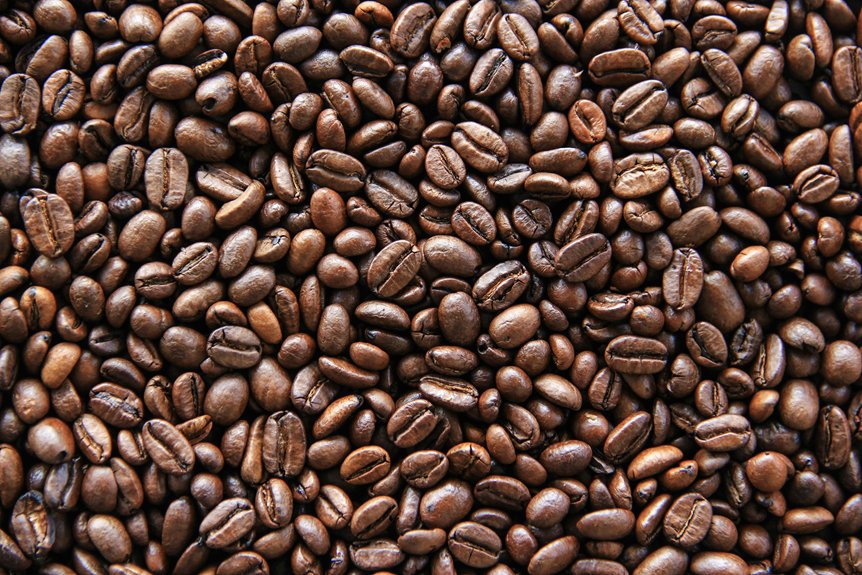 espresso vs coffee bean differences